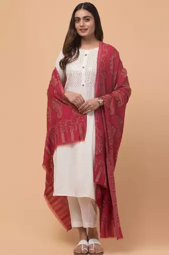 Women ethnic motifs woven design shawl