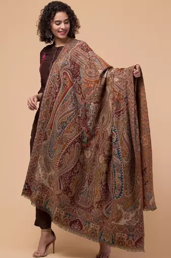 Women ethnic motifs woven-design wollen shawl