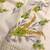 Printed Pure Cotton Unstitched Dress Material