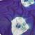 women printed cotton unstitched dress material