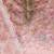 floral embroidered organza unstitched dress material