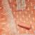 women orange & white embroidered organza unstitched dress material