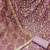 floral embroidered beads and stones organza semi-stitched dress material