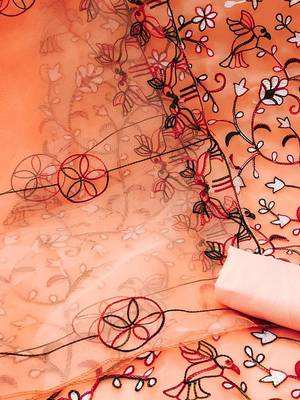 embroidered organza unstitched dress material 5