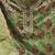 embroidered organza unstitched dress material