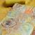 Printed Organza Unstitched Dress Material