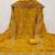 Embellished Unstitched Dress Material