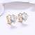 Fancy huggie hoop earrings cz studded festive casual wear jewelry for