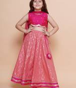 Girls embroidered ready to wear lehenga & blouse with dupatta
