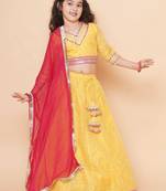 Girls ready to wear lehenga & blouse with dupatta