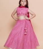 Girls embroidered ready to wear lehenga & blouse with dupatta
