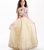 Girls embroidered ready to wear lehenga & blouse with dupatta
