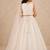 Girls embroidered mirror work ready to wear lehenga & blouse with dupatta