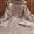 Embellished Organza Unstitched Dress Material
