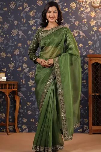 Olive embellished sequinned border saree
