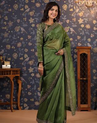 Olive embellished sequinned border saree 2