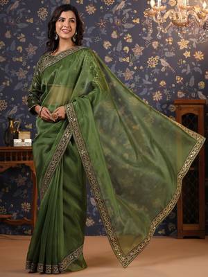 Olive embellished sequinned border saree 4