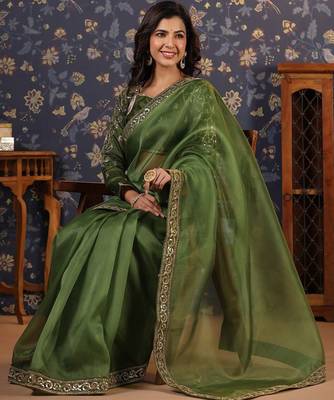 Olive embellished sequinned border saree 5
