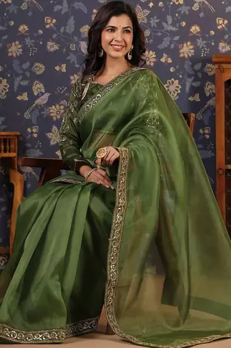 Olive embellished sequinned border saree