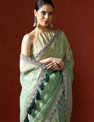 Green embellished sequinned saree with blouse 2