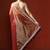 Orange embellished sequinned saree with blouse