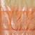 Beige banarasi woven design saree with blouse