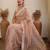 Cream ethnic sequence embroidered saree