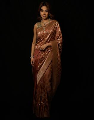 Brown silk blend woven saree with blouse 2