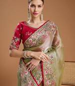 Lime embellished embroidered tissue border saree with unstiched blouse