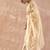 Beige embroidered pure cotton kurta trouser dupatta set