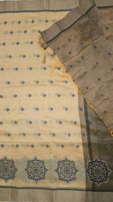 Gold tussar woven saree with blouse 2