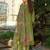 Green embroidered liva kurta trouser dupatta set