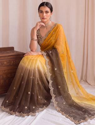 Multicolor ombre mirror work tissue designer saree 4
