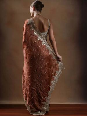 Rust embroidered sarees 3