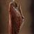 Rust embroidered sarees