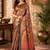 Multicolor paisley pashmina saree