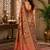 Multicolor paisley pashmina saree
