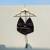 Black-leopard-cotton-bra-kj0319