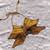 Mustard-handwork-butterfly-top-kj0333