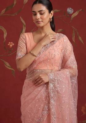 Peach net embroidered saree with beads 2