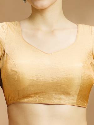 Tissue silk designer sare blouse 3