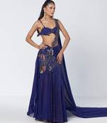 Blue embroidered organza and net drape saree set