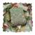 pista color smart and ethnic cotton  fabric elegant salwar kameez for girls