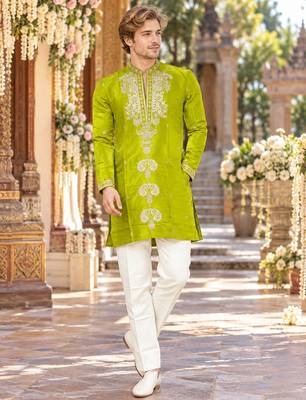 Parrot green embroidery work roman straight kurta 1
