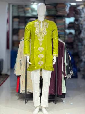 Parrot green embroidery work roman straight kurta 4