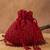 Red silk embroidered shimmer viel potli bag