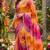 Multicolor georgette floral print printed saree