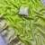 Light-green silk blend zari work embroidered saree