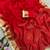 Red organza hand embroidery embroidered saree