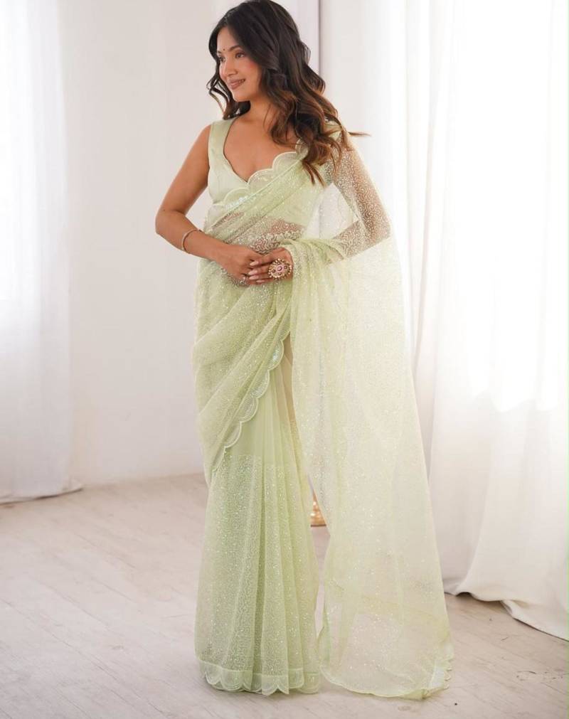 Light-green net sequins work embroidered saree